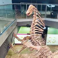 A Fascinating Journey Through Time at Melbourne Museum 🇦🇺