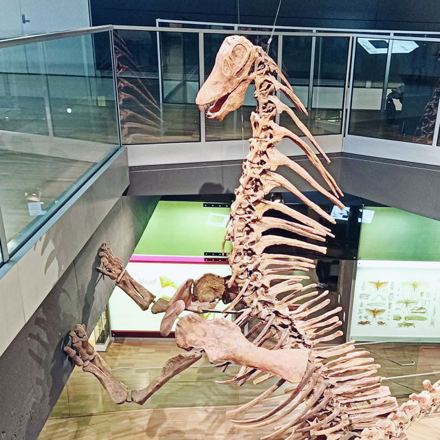 A Fascinating Journey Through Time at Melbourne Museum 🇦🇺