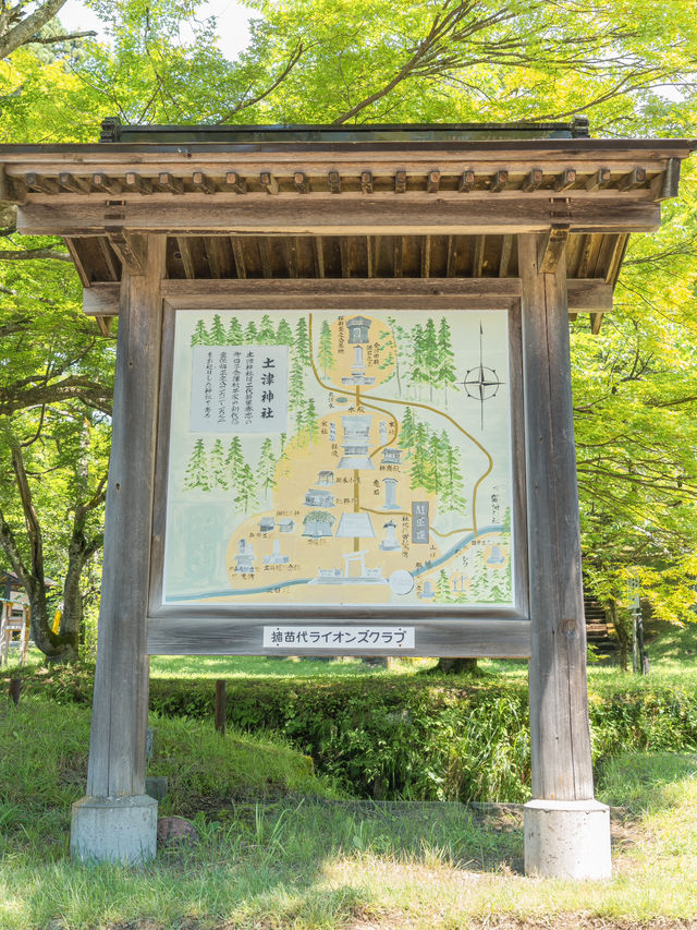 【福島】花手水×御朱印🏵️ 会津藩祖を祀る「土津神社」⛩🌸 