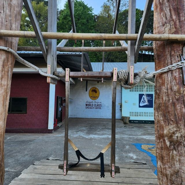 เที่ยวที่ผลิตกาแฟดอยช้าง - ดอยช้างคอฟฟี่ ออริจินอล