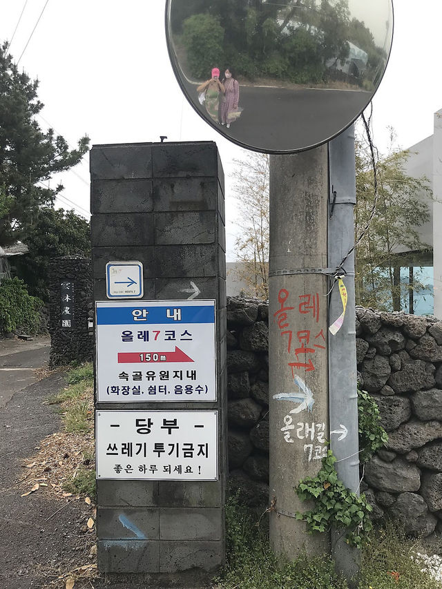 제주 올레길 7코스 함께 걸어요🚶🏻‍♀️