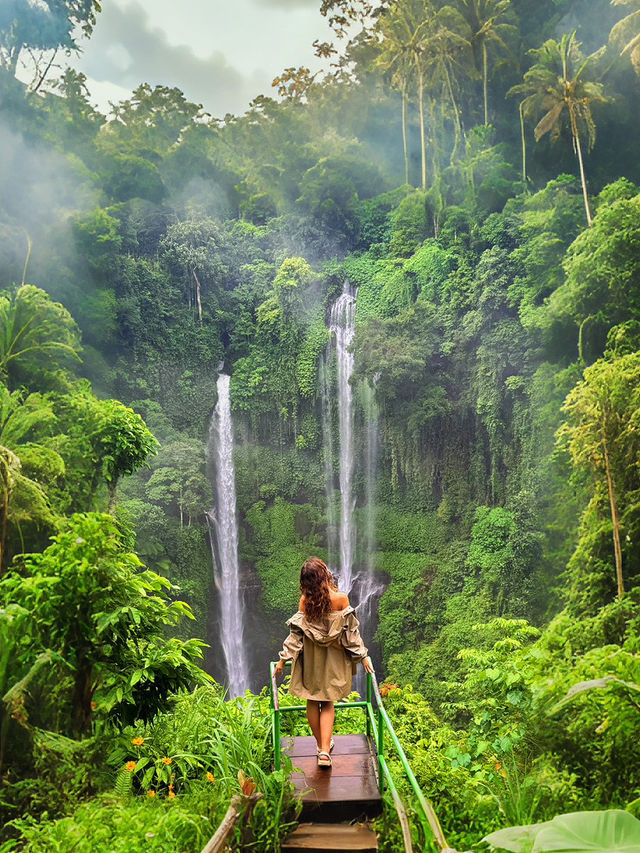 Paradise found 