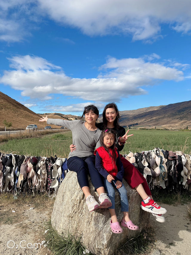 紐西蘭🇳🇿南島 #卡德羅納胸罩圍欄 超熱門公路打卡點！