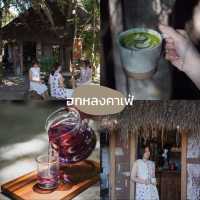 ⛰️ แจกแพลนเที่ยวเชียงดาว 3 วัน 2 คืน