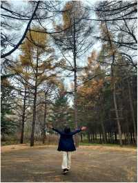 สวนสาธารณะในเมืองใหญ่ (Changchun-Kunming)