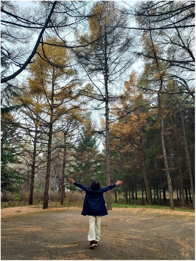 สวนสาธารณะในเมืองใหญ่ (Changchun-Kunming)