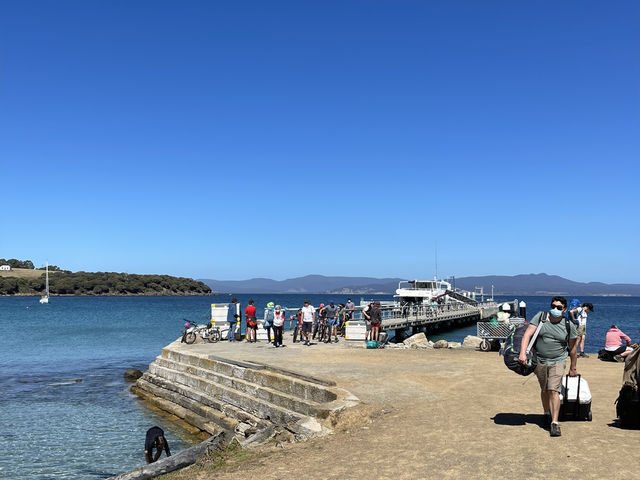 塔斯馬尼亞  瑪麗亞島旅遊全攻略：野生動物天堂與世界遺產秘境
