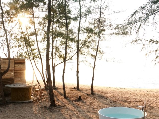 Mollusc Glamping ที่พักติดทะเล