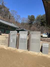 충북 보은 여행 유네스코 법주사 