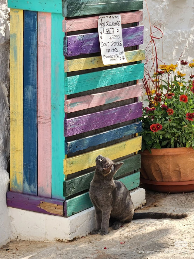 Alberobello: A Fairytale Village of Trulli