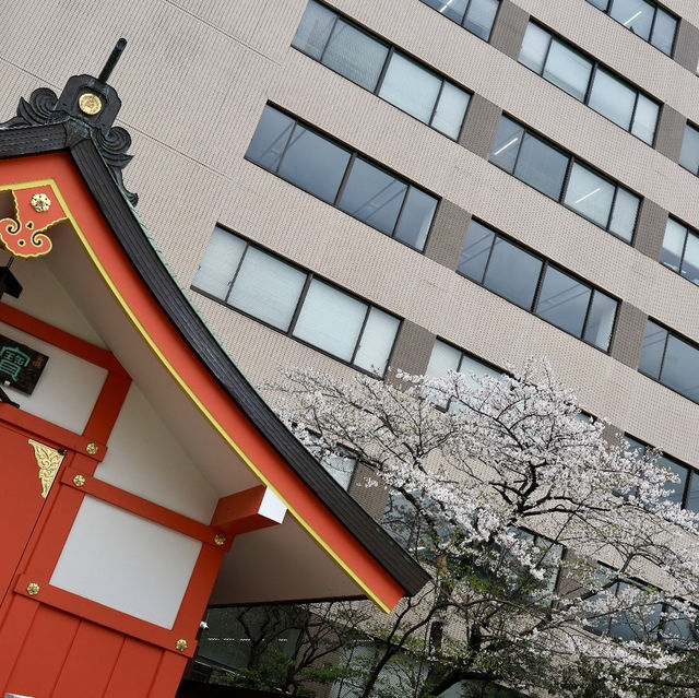 新宿花園神社 | 東京市中心賞櫻的隱秘寶地