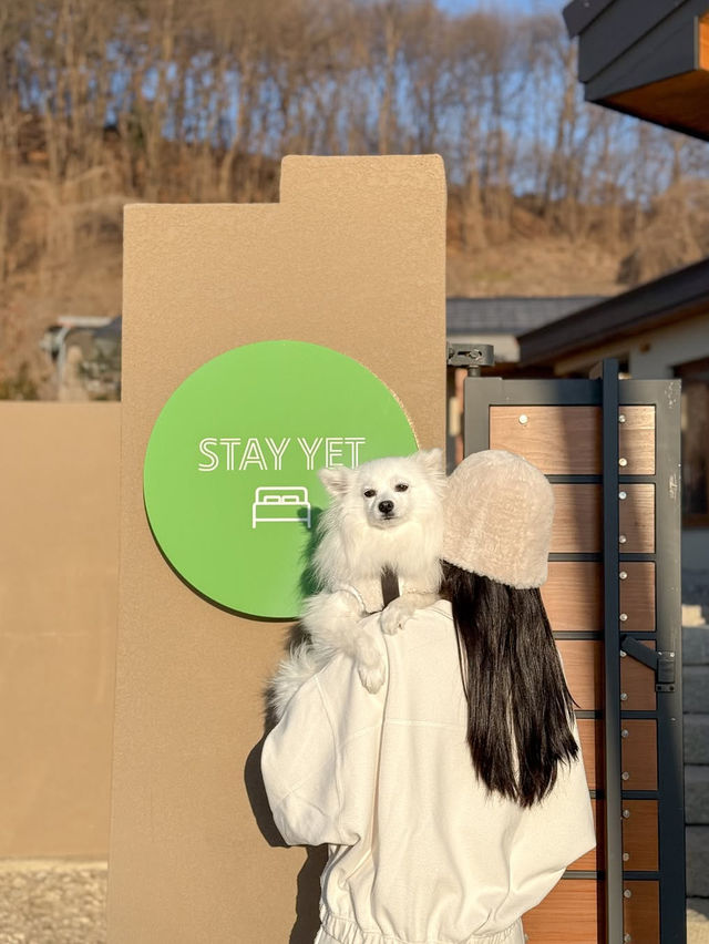 우리 집 강아지와 함께할 수 있는 충주 애견동반 숙소🐶 