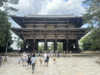 Standing in Awe: Exploring Todaiji Temple in Nara