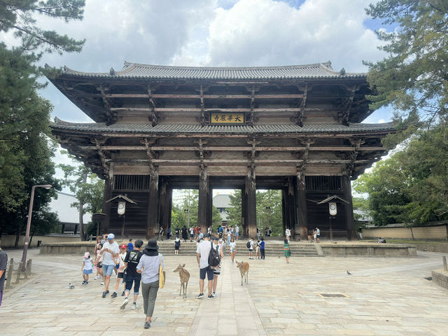 Standing in Awe: Exploring Todaiji Temple in Nara