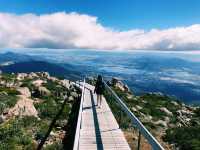 4-Day Tasmania Itinerary: Mountains, Wildlife & Lavender Fields 💜