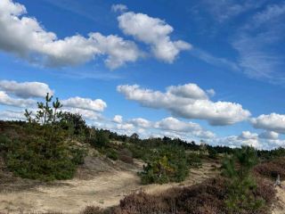 Drents-Friese Wold National Park