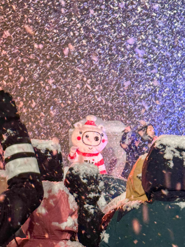 ❄️ 夢幻雪國跨年 | GREEN PLAZA 上越住宿體驗