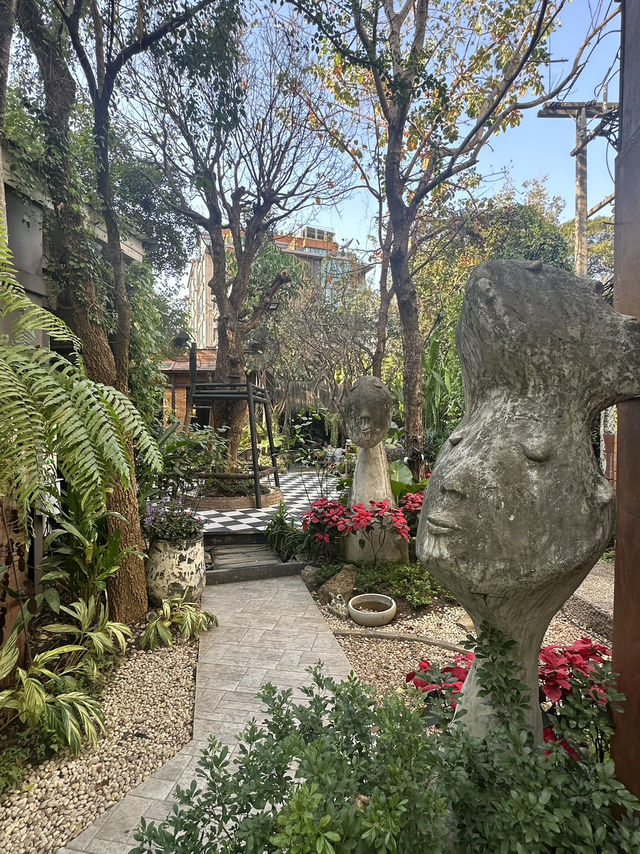 Discover the Charm of Chiang Mai During Winter ❄️ 🌷 