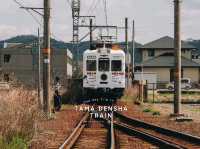 นั่งรถไฟน้องแมว เที่ยวเมือง Wakayama Kansai 