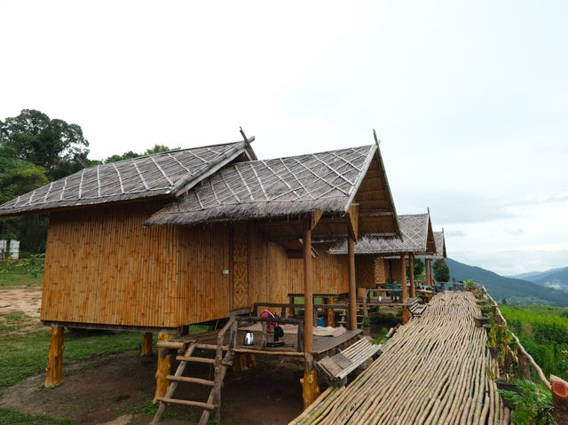 แนะนำที่พักวิวหลักล้าน “เปียงซ้อโฮมเสตย์” 🌬️⛰️