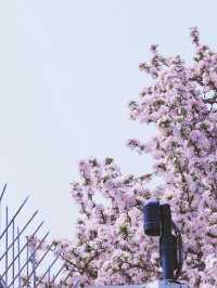 Trip to Yingkou 🌸