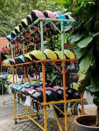 Ipoh the cave moments and food explorations