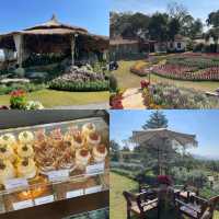 #มัดรวมคาเฟ่ 10 Check In ‘เขาใหญ่-สระบุรี’
