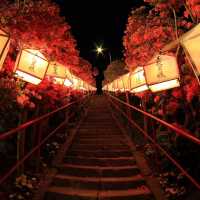 Chasing Azalea at Tenno Shrine