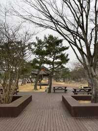 청동기 유물 공부하며 즐기는 전주 실내데이트🥰
