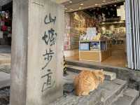 Dawn on Mountain City Trail: Where Chongqing’s Heartbeat Comes Alive