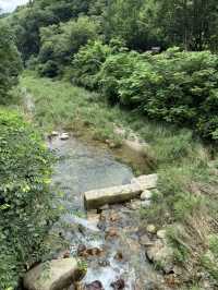 🏞️ 양평에서 보내는 1박2일 힐링 여행! (숨겨진 사진명소까지!)