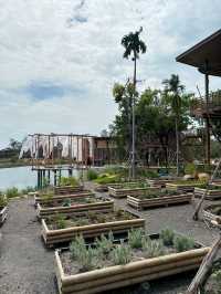 หอมดิน กลิ่นจันทร์