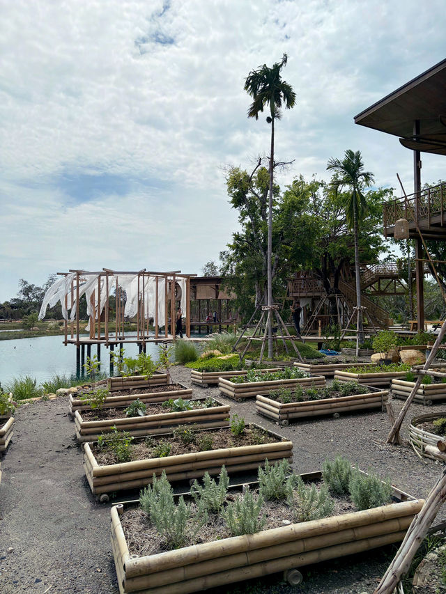 หอมดิน กลิ่นจันทร์