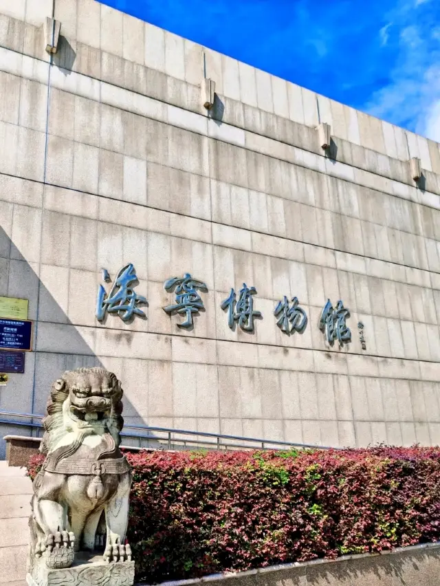 Haining Museum: A Gateway to History and Lights