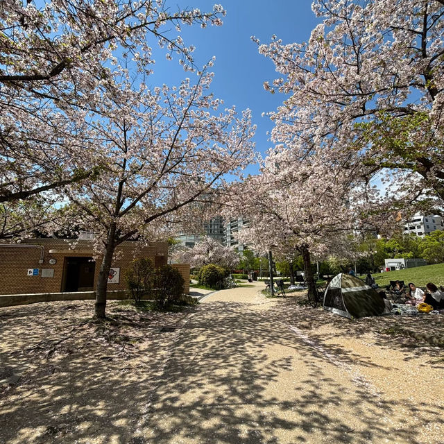  吉原兒童公園~色彩斑斕的童年