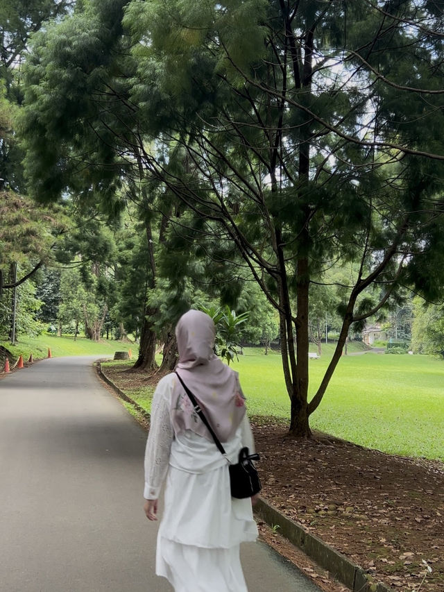 Watching concert in Kebun Raya Bogor🫶🏻