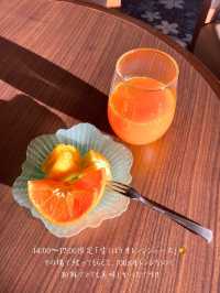 【静岡 伊豆稲取】24時間、無料で食べ飲み放題🍸宿泊者専用ラウンジが最高すぎた...🤤