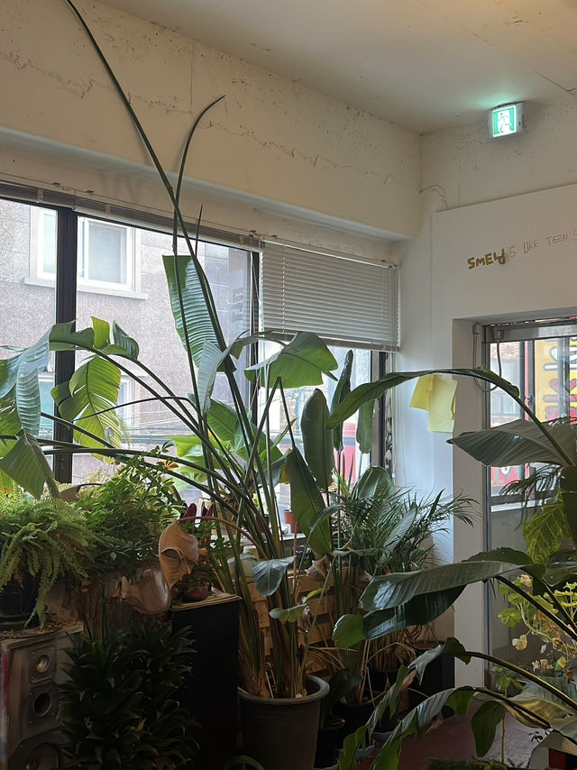 대전 토박이인 내가 제일 사랑하는 공간🌿