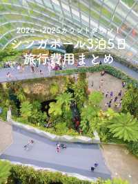 カップルで年越し🎉3泊5日のシンガポール旅費公開✨