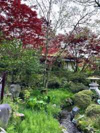 【石川×ゆのくにの森】茅葺き屋根の古民家や自然豊かな背景も楽しめます。