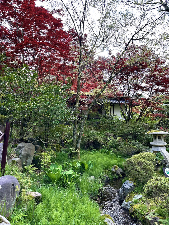 【石川×ゆのくにの森】茅葺き屋根の古民家や自然豊かな背景も楽しめます。
