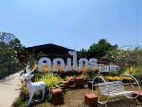 ผัดไทยร้านเด็ด ร้านอาหารดังเมืองระยอง