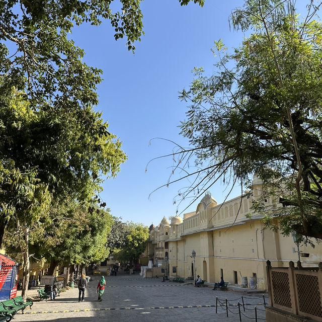 粉紅城市齋浦爾的早晨-風之宮與寶萊塢體驗
