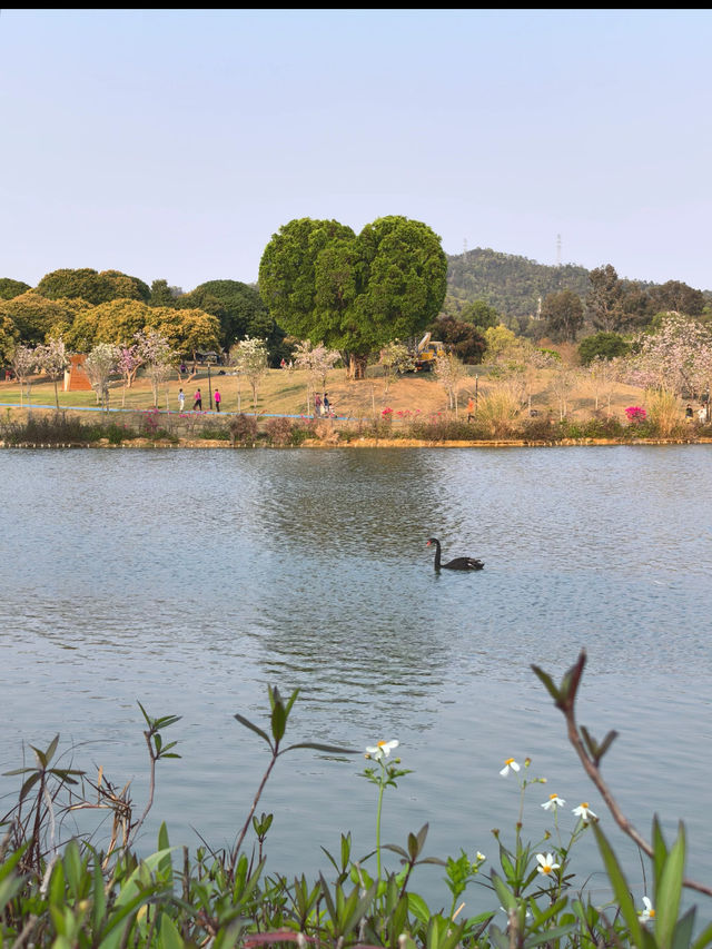 珠海香山湖公園｜全家半日遊首選🌳  
