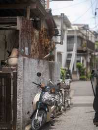 谷中銀座スナップ、レトロと人情の交差点🍡📷