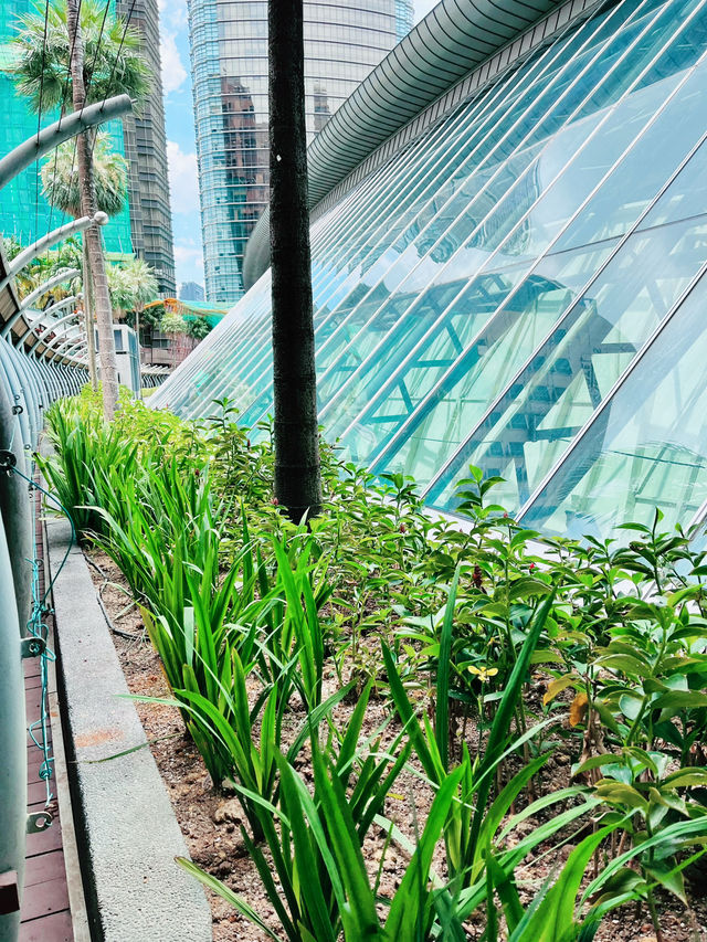The Gardens Mall: Where Sustainability Blooms Naturally
