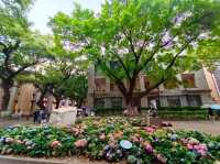 Shamian Island 