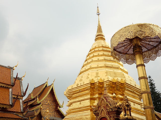 เชียงใหม่หลังแผ่นดินไหว เที่ยวได้สบายยย
