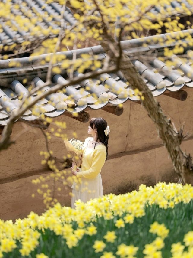 문화유산과 꽃의 조합