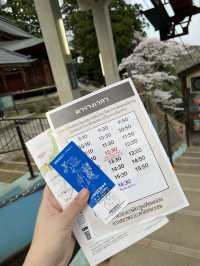 Kinosaki Onsen in Full bloom 